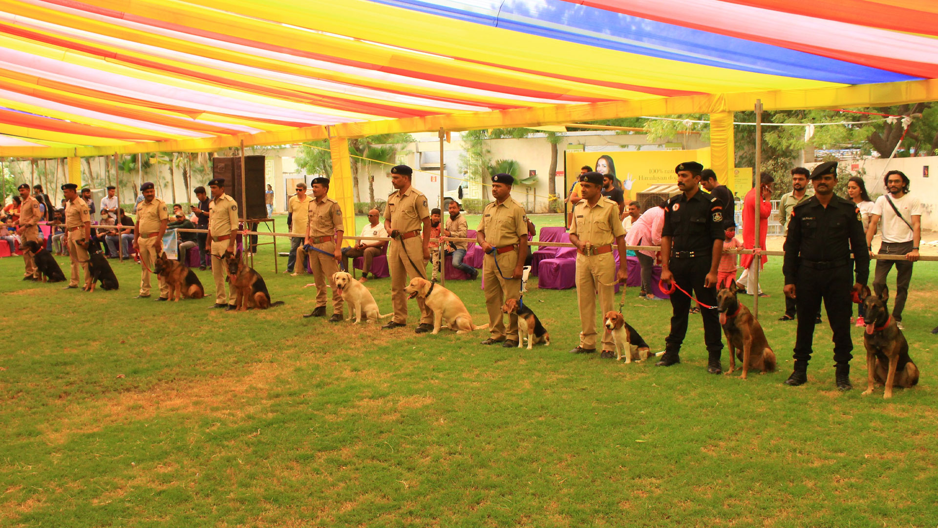 Performance on Tablet